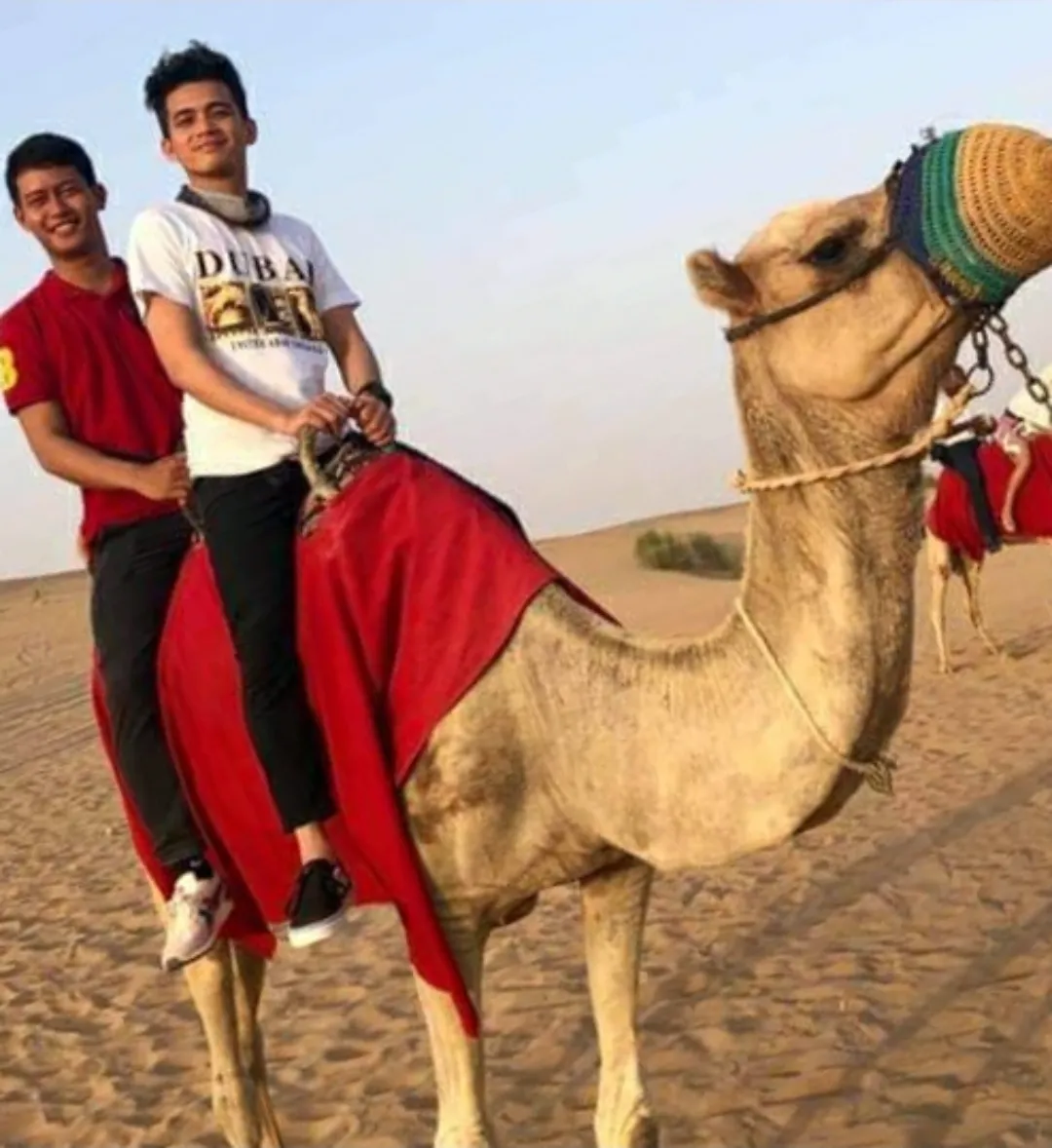 Self Ride Camel Safari